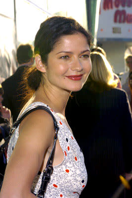 Jill Hennessy at the Hollywood premiere of Warner Brothers' Catwoman