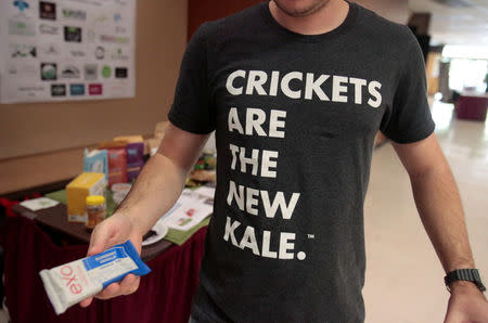 An attendee wears a 'Crickets are the new kale' t-shirt during the 'Eating Insects Detroit: Exploring the Culture of Insects as Food and Feed' conference at Wayne State University in Detroit, Michigan May 26, 2016. REUTERS/Rebecca Cook