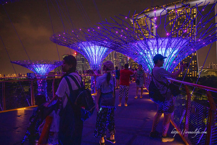 濱海灣花園天空樹