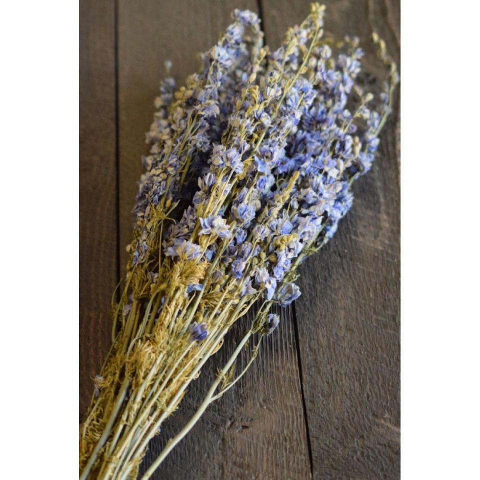 Dried Light Blue Larkspur Flowers For Sale