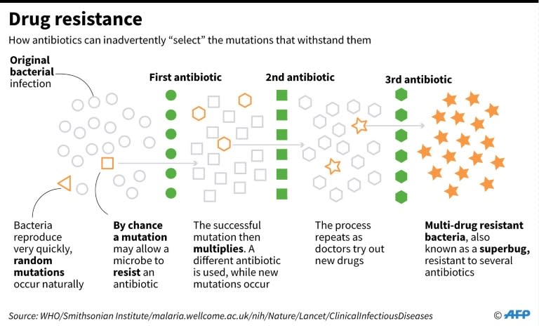 How the use of antibiotics can speed up the evolutionary process behind the rise of superbug