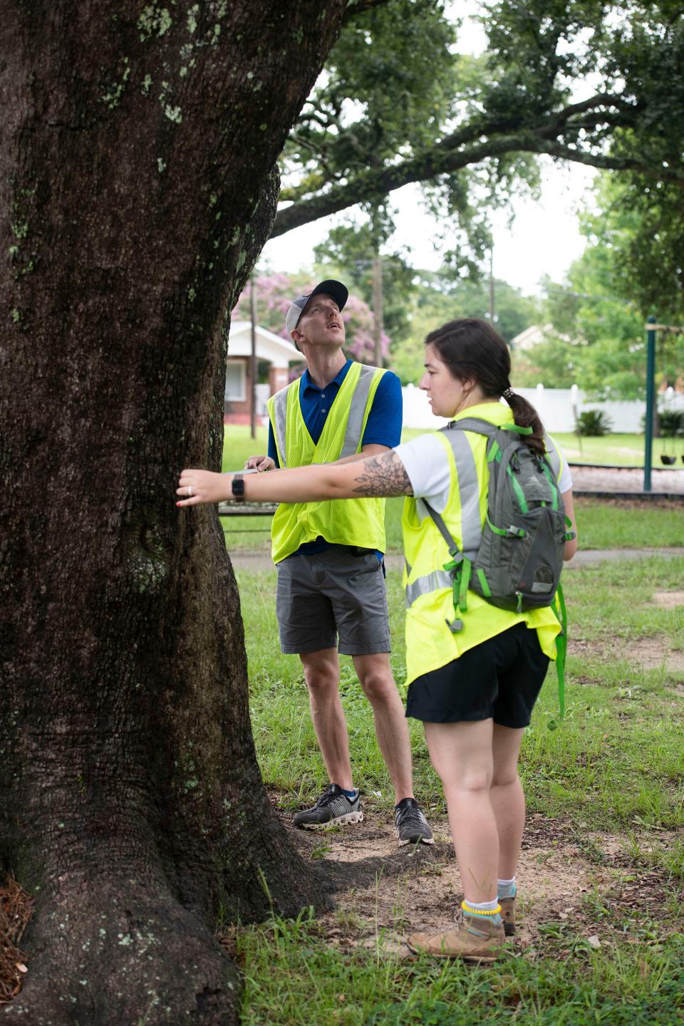 Robert Dunn and Mel Medley with Geosyntec Consultants work to complete a tree survey in East Hill on Thursday. The city of Pensacola hired Geosyntec to take an inventory of the trees on government-owned property throughout the city.