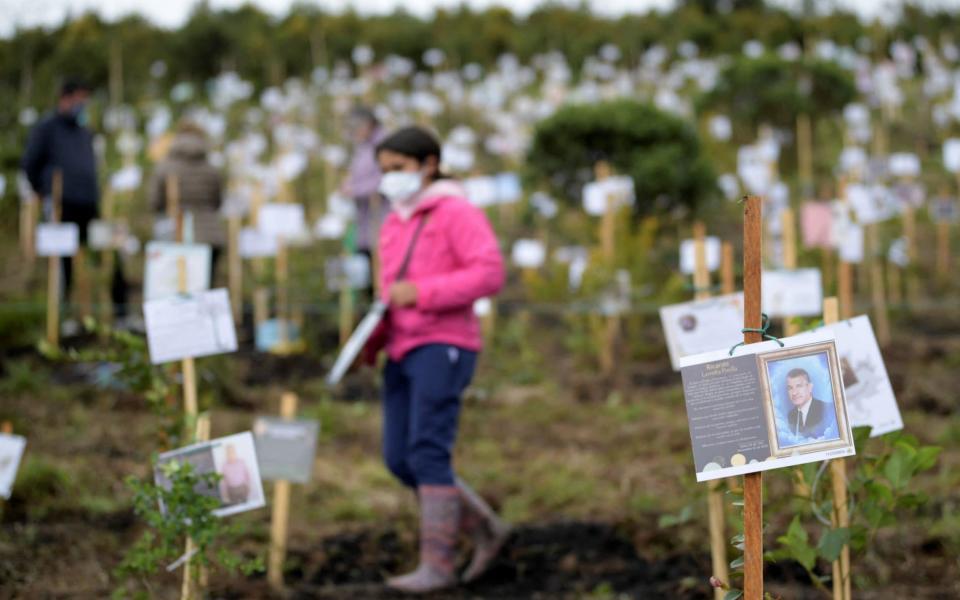 Relatives of Covid-19 victims spread their ashes in holes where they plant trees during a tribute to their loved ones and as part of the Ashes Fountain of Life program of the environmental NGO Colombia Reserva de Vida at the natural reserve of Paramo de Guerrero in Cogua municipality, near Bogota on June 21, 2021. - Colombia has officially recorded more than 100,000 Covid-19 deaths. - AFP