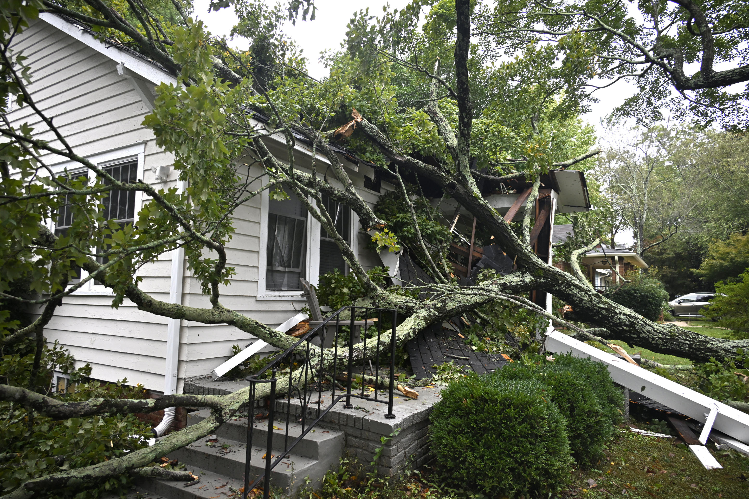 A large tree on a house in North Carolina.