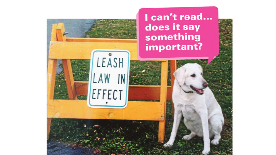 Funny photos: Dog with no leash next to sign that says 