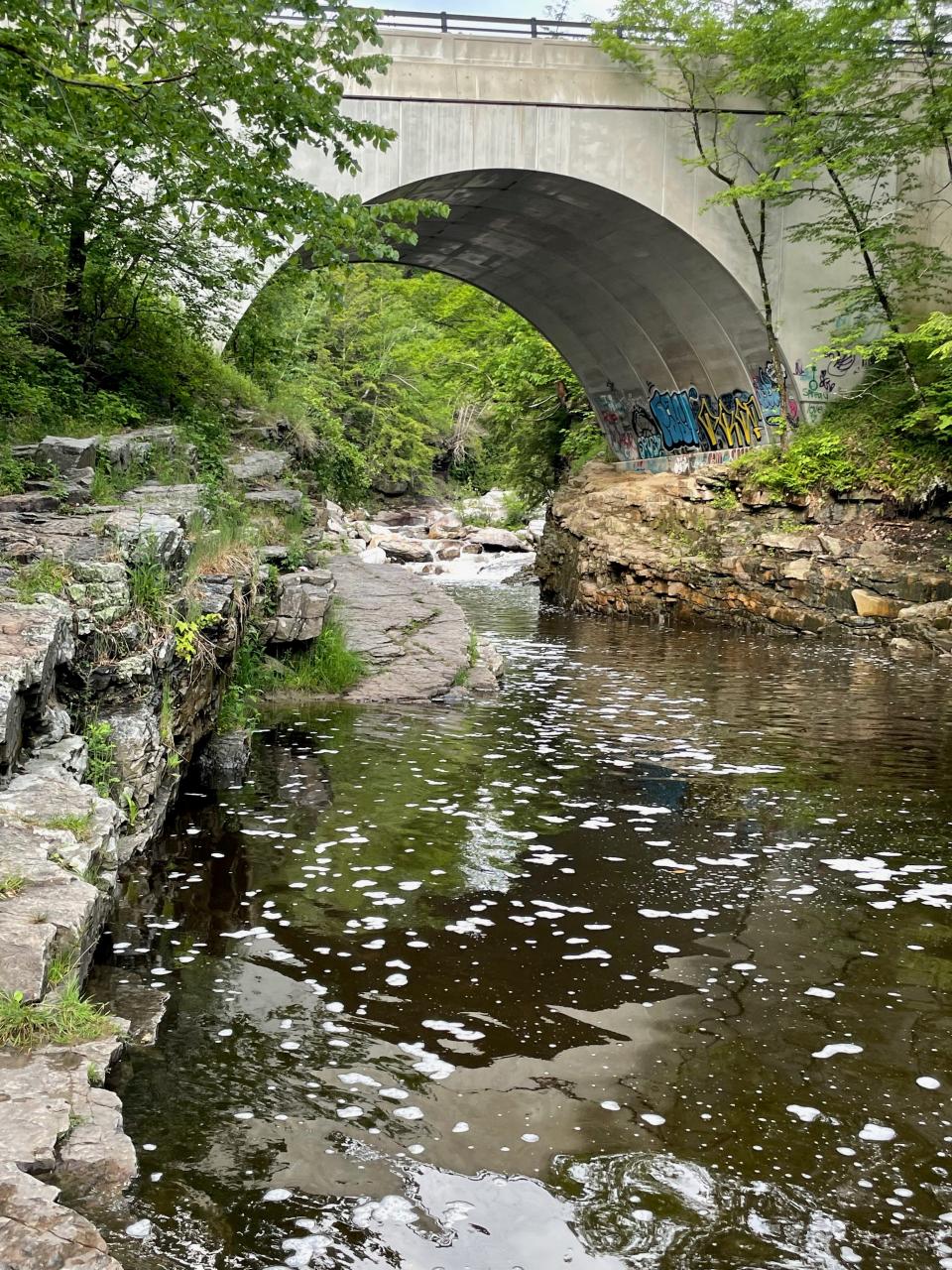 A gorge in East Middlebury on a gloomy afternoon.