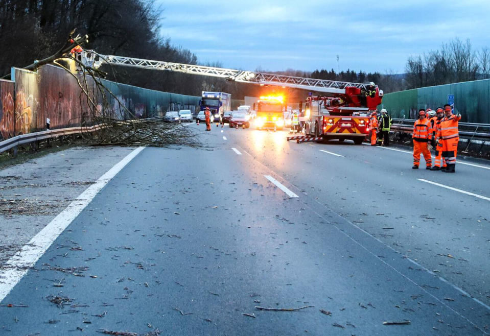 Helfer zerlegen mit Hilfe einer Drehleiter Bäume, die bei Hagen (Nordrhein-Westfalen) über die Lärmschutzwand auf die A 45 gekippt sind (Bild: Alex Talash/dpa)