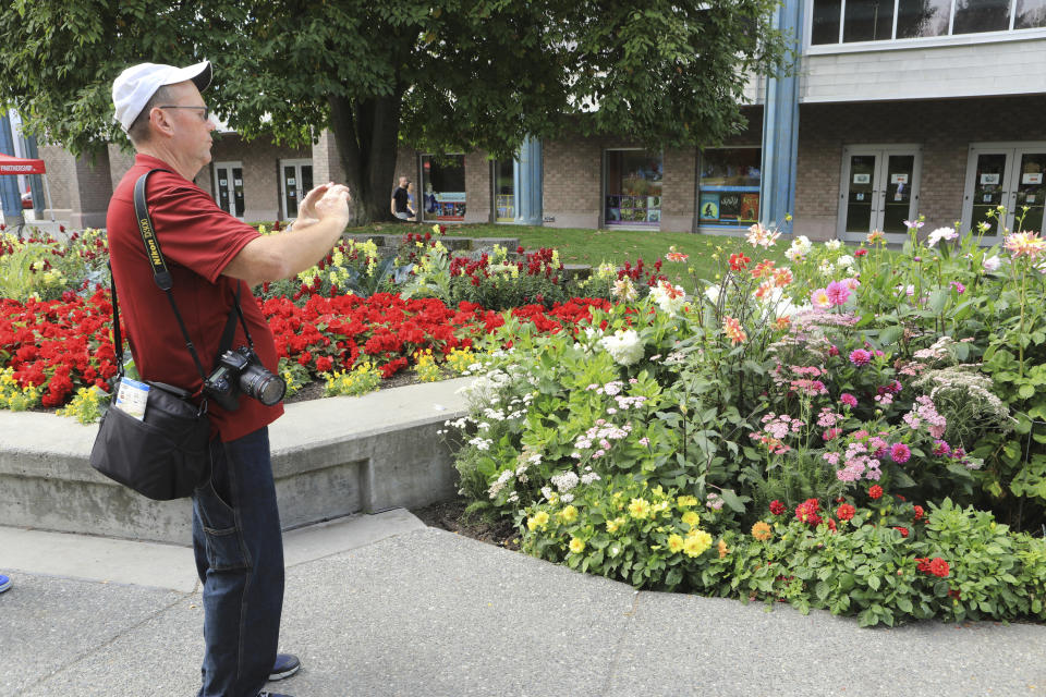 Central Florida resident Paul Leake photographs a dahlia garden in Town Square in Anchorage, Alaska, Thursday, Aug. 15, 2019. Alaska recorded its warmest month ever in July and hot, dry weather has continued in Anchorage and much of the region south of the Alaska Range. (AP Photo/Dan Joling)