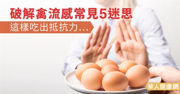 破解禽流感常見5迷思　這樣吃出抵抗力…