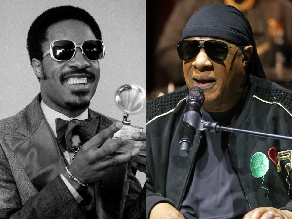 stevie wonder