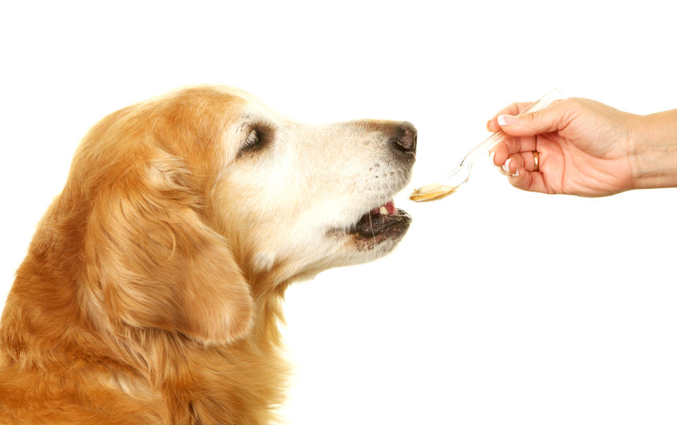 Xylitol in some peanut butters could be deadly to dogs. Source: Getty Images