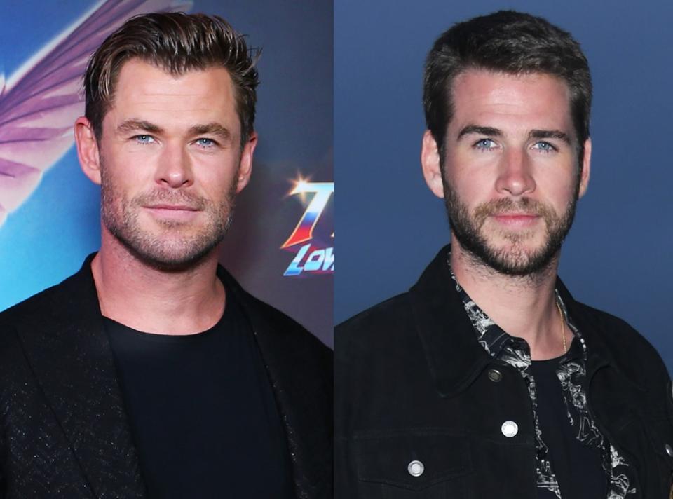 Liam Hemsworth, Chris Hemsworth