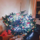 <p>When your Christmas tree has a mind of it's own.</p>