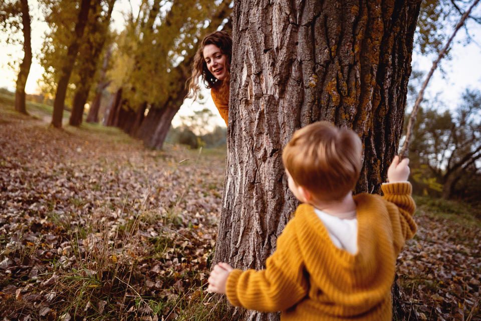 Child and adult playing peekaboo behind a tree in a forest