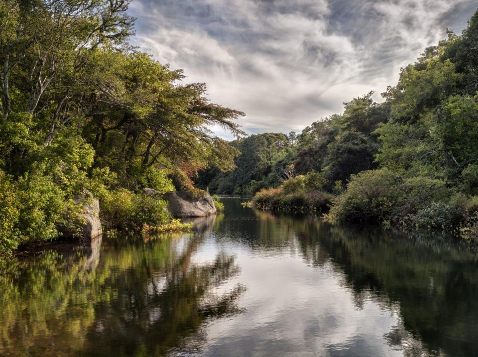 Daydream Over These Photos of Idyllic Cape Cod