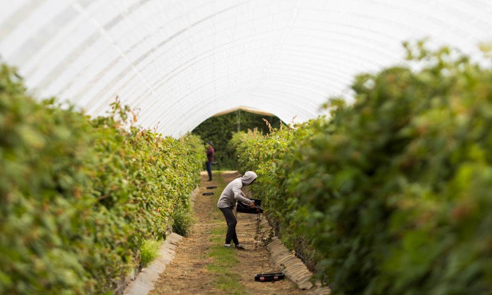 <span>Photograph: Chris Ratcliffe/Bloomberg/Getty Images</span>