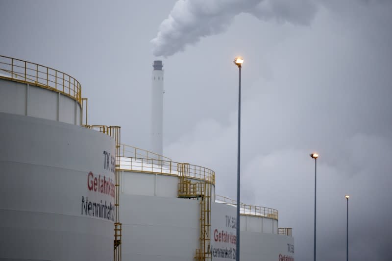 General view of the Total oil refinary in Leuna, November 19, 2014. REUTERS/Axel Schmidt