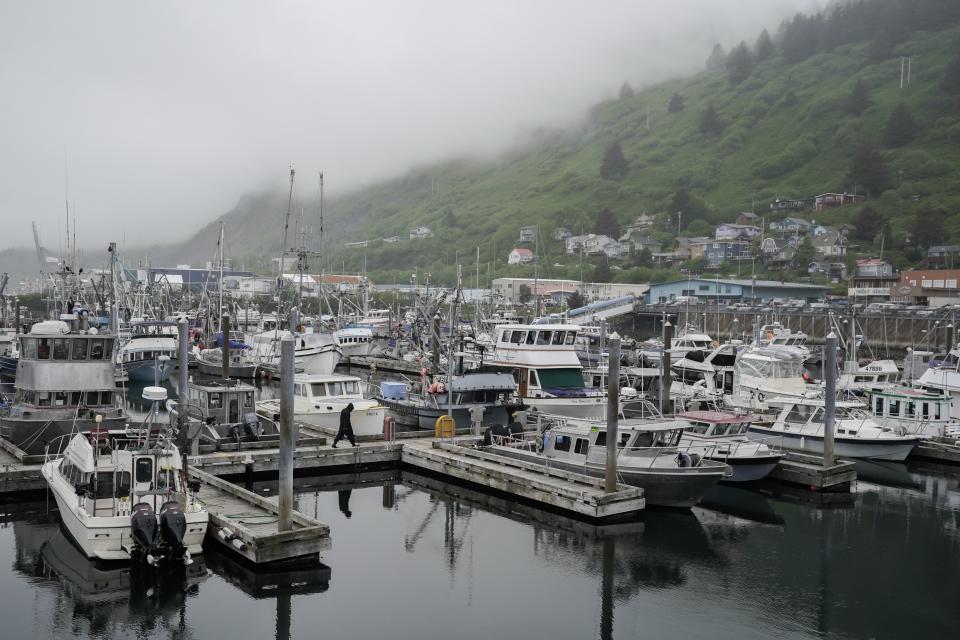 FILE - A person walks across the dock at St. Paul Harbor, Thursday, June 22, 2023, in Kodiak, Alaska. Alaska fishermen will be able to harvest red king crab, the largest and most lucrative of all the Bering Sea crab species, for the first time in two years, offering a slight reprieve to the beleaguered fishery beset by low numbers likely exacerbated by climate change. (AP Photo/Joshua A. Bickel, File)
