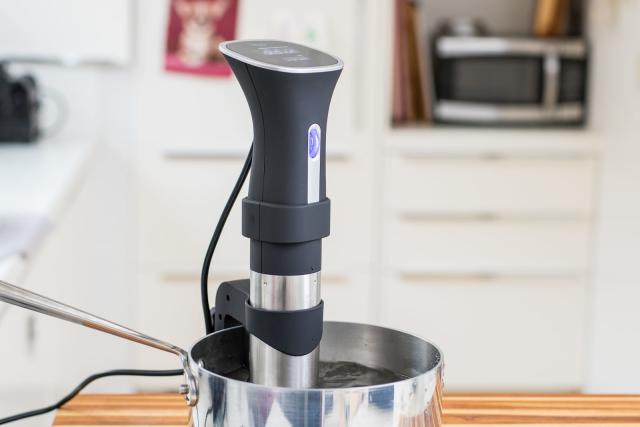 Kitchen Gizmo Sous Vide Reviews Updated 2023 