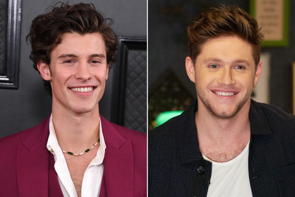 Shawn Mendes, Niall Horan