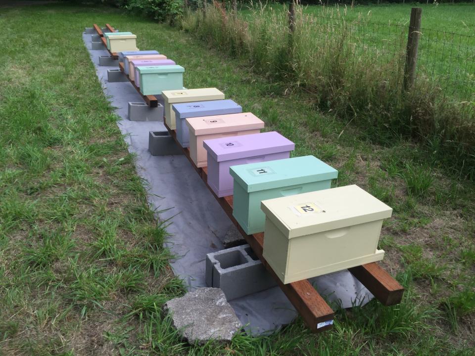 This photo taken July 1, 2016 shows a group of first-year honeybee hives in a pasture near Langley, Wash. Chemicals are routinely applied to kill insect pests and troublesome weeds but many are indiscriminate, devastating beneficial insects in the process. Landowners should avoid using pesticides in areas attractive to pollinators and instead use non-toxic methods to get rid of such pests as aphids. (Dean Fosdick via AP)