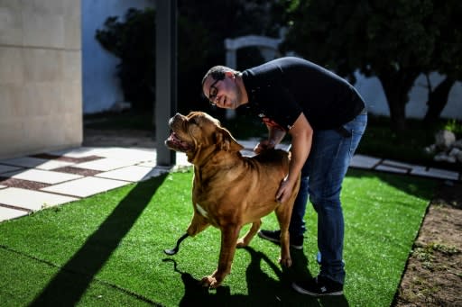 Ronda had already been treated as a puppy by veterinarian Henrique Armes, a pioneer in the field of pet prostheses