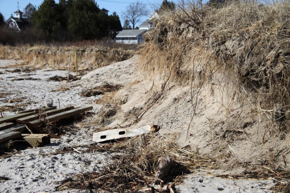 York County's beaches and sand dunes took a beating in a pair of coastal storms Jan. 10 and 13. York County commissioners are looking into whether a new dredge the county owns can be put to use by the fall to help municipalities renourish the beaches and assist with sand dune restoration.