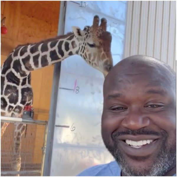 I Want to Take My Shirt off on One Last Time': Shaquille Reveals Why He Decided Lose Weight —See Before and After Pic