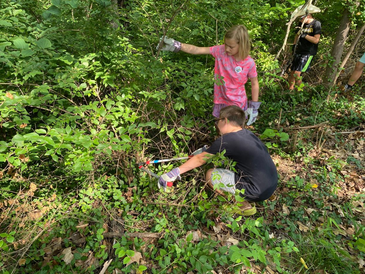 Adeline Finke, 10, holds a honeysuckle plant as Charlie Ulmasov, 10, cuts during a Missouri River Relief summer camp project on Thursday around Flat Branch Park in downtown Columbia.