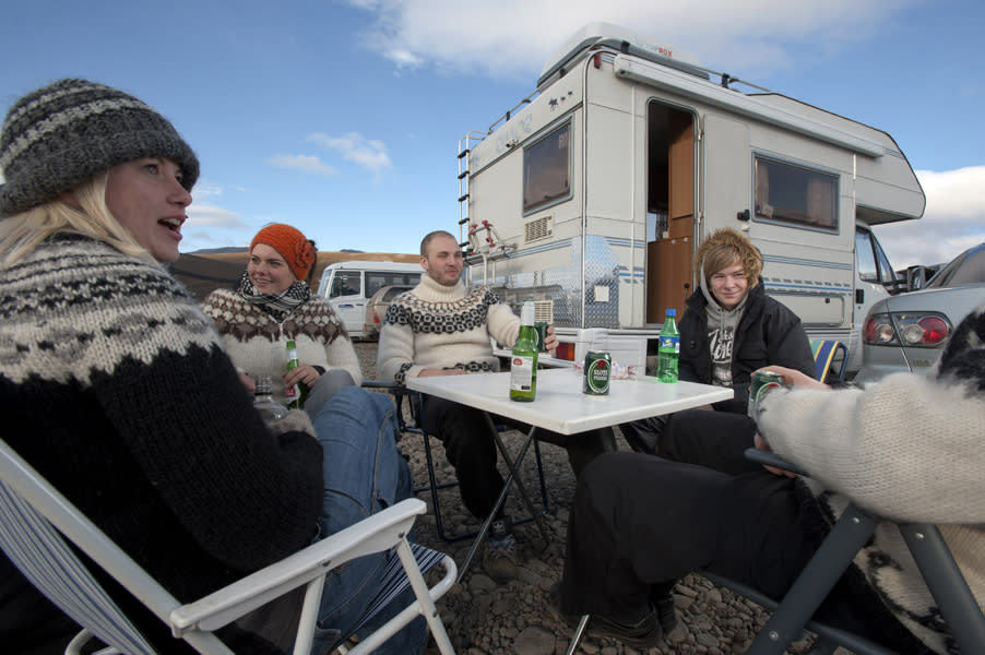 Herd In Iceland