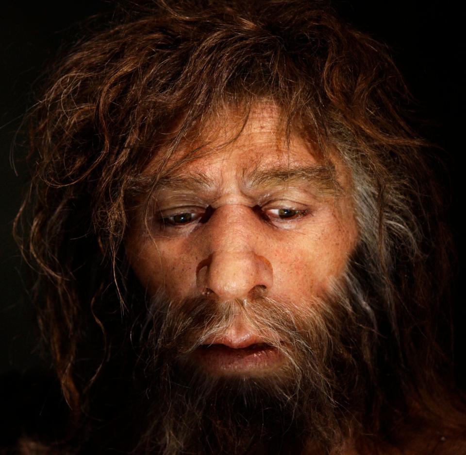 Das hyperrealistische Gesicht eines männlichen Neandertalers ist in einer Höhle des neuen Neanderthal Museums in der nordkroatischen Stadt Krapina ausgestellt. - Copyright: REUTERS/Nikola Solic 