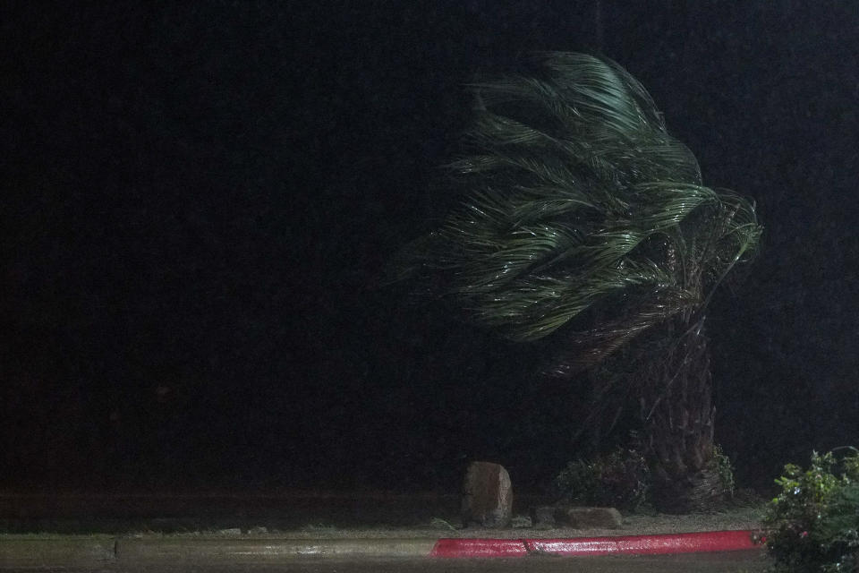 A palm tree bends in heavy wind and rain during a nighttime storm