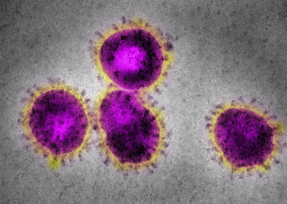 Coronavirus image