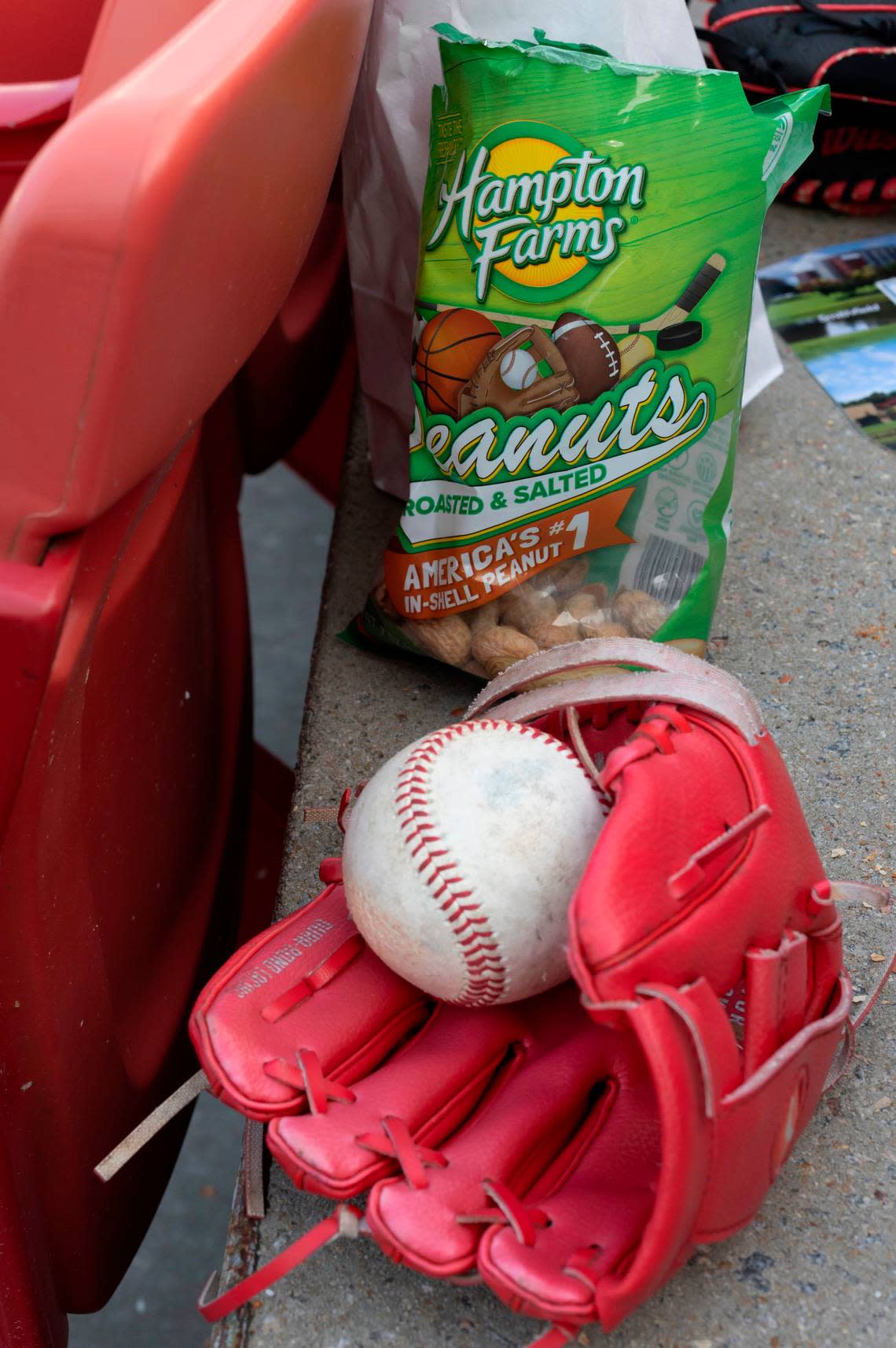 A bag of Hampton Farms peanuts at the Carolina Mudcats game on Tuesday, July 18, 2023 at Five County Stadium in Zebulon, N.C.