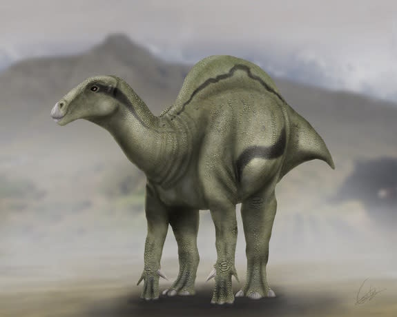 The sail-backed dinosaur <i>Morelladon beltrani</i> lived about 125 million years ago in ancient Spain.