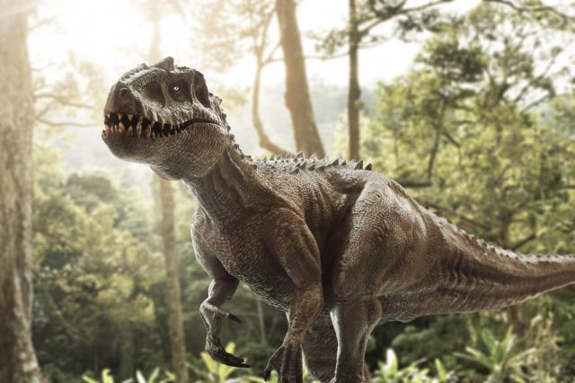 Pregnant T. Rex unearthed