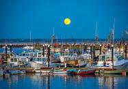 <p>A full moon shines over Provincetown, MA // July 31, 2015</p>
