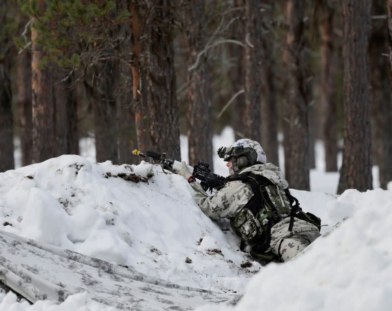 Finnish and Swedish troops participate in NATO's Nordic Response 24 exercise near Hetta