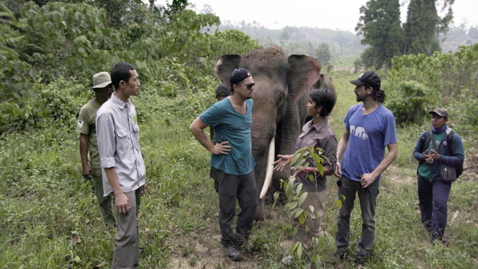Rudi Putra, Leonardo DiCaprio, and Farwiza Farhan stand near an elephant in the documentary "Before the Flood"