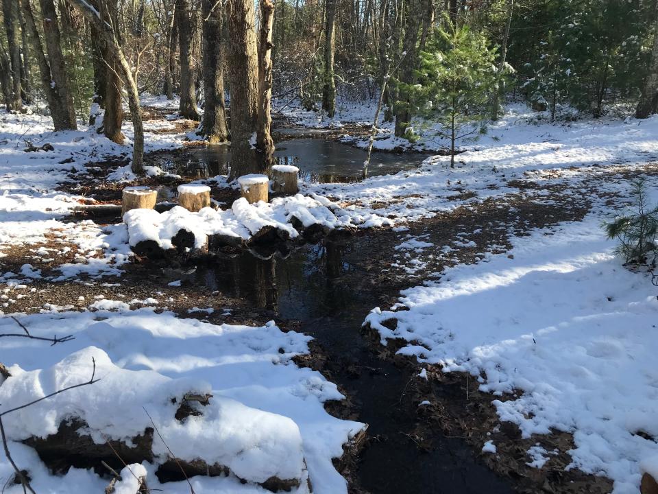 Sitting stools made of cut logs have been placed at a crossing of an intermittent brook.