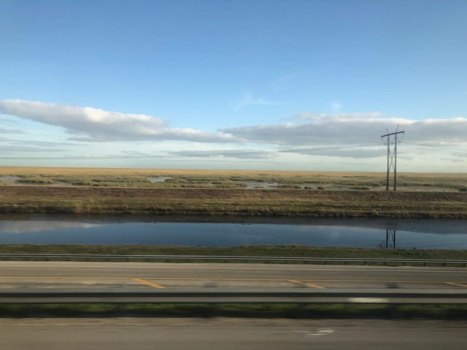 View of Florida from bus window