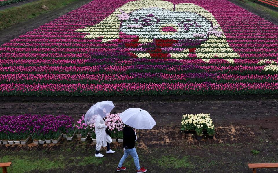 tulip art - Getty