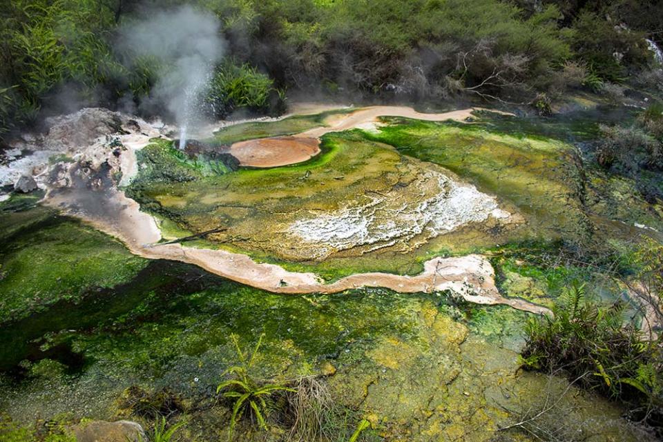 懷芒古火山谷的鳥巢台階地溫泉（Image Source : Getty Creative）