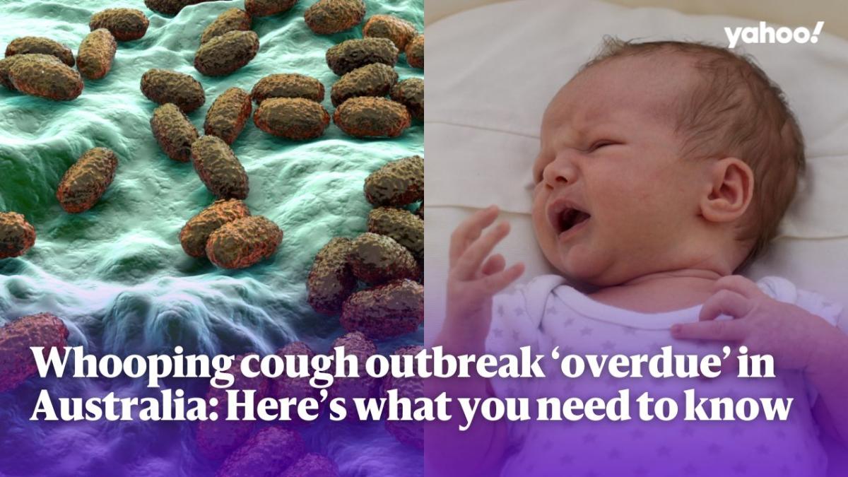 Whooping cough outbreak ‘well overdue’ in Australia Here's what you