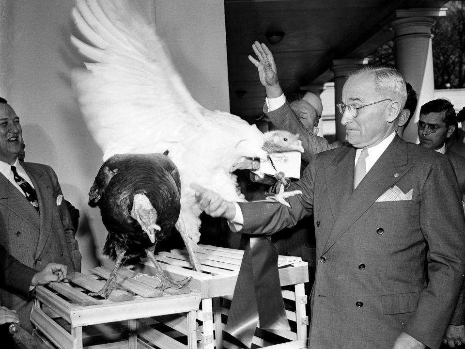 President Harry Truman inspects turkeys gifted to him at the White House.