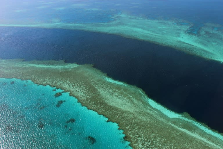 Australia has hailed a United Nations decision to keep the Great Barrier Reef off its in danger list as "tremendous", but activists warn more must be done to improve the marine park's health