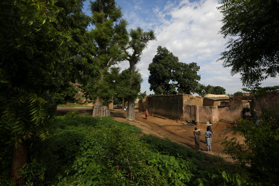 Así son los pueblos de Nigeria donde las hienas conviven como mascotas