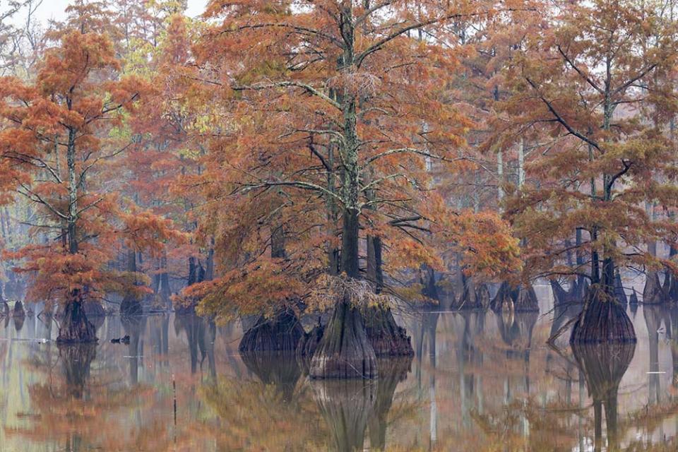 馬蹄湖（Image Source : Getty Creative/Gallo Images ROOTS ）