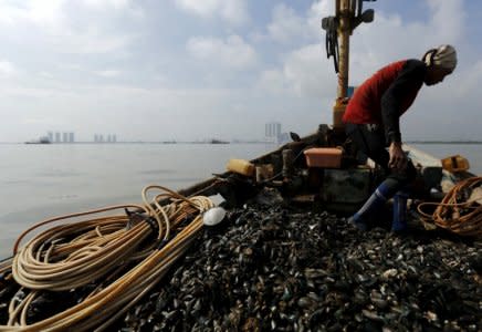 FILE PHOTO: Kasno walks on his boat as he collects green mussels in Jakarta Bay, Indonesia, April 20, 2016. REUTERS/Beawiharta/File Photo