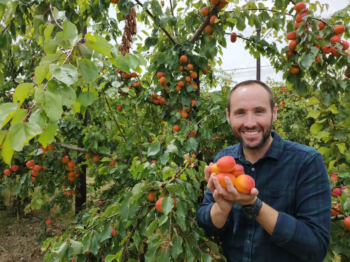 World-class: David Moore with some of this year’s harvest from Home Farm  (DPS Ltd)